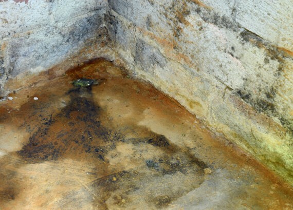 Mold grows out of control in an Ottawa basement after flooding