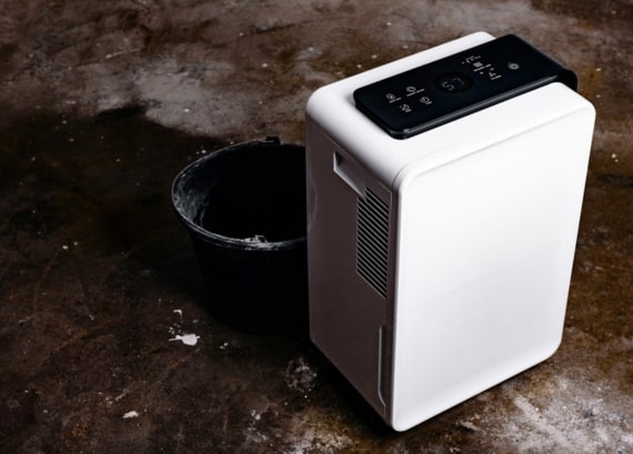 dehumidifier in basement dehumidifier in basement