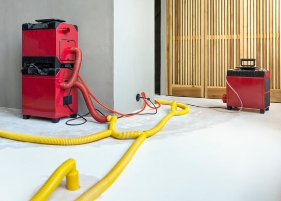 dehumidifier dehumidifier