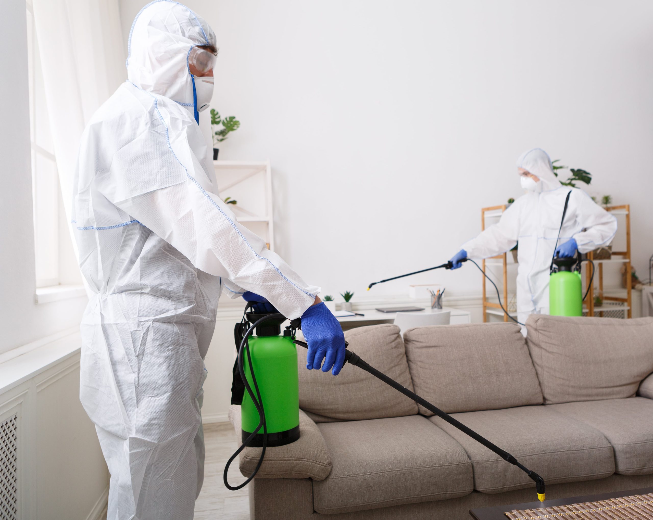 deep cleaning services (11)