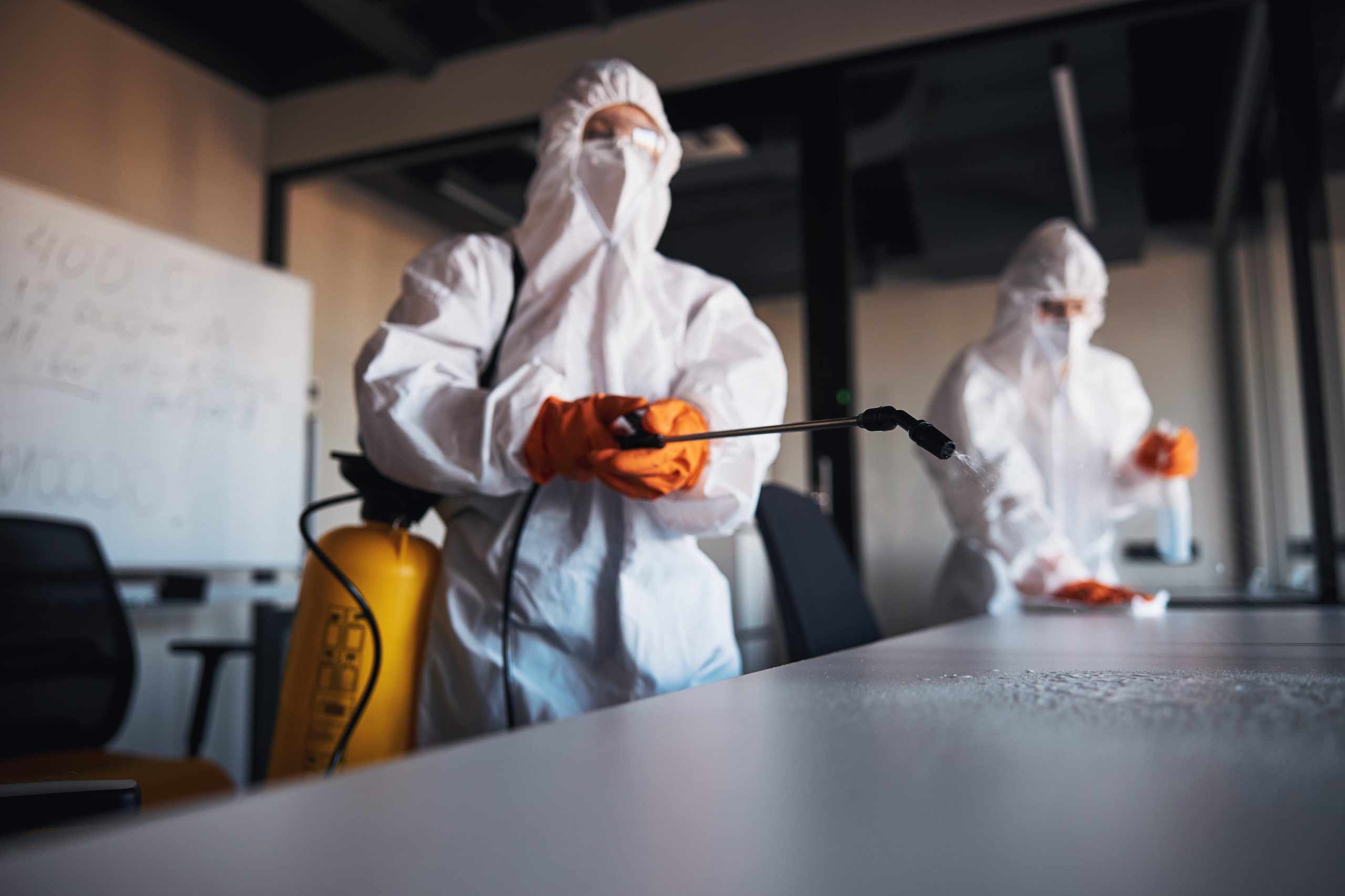 deep cleaning services (12)
