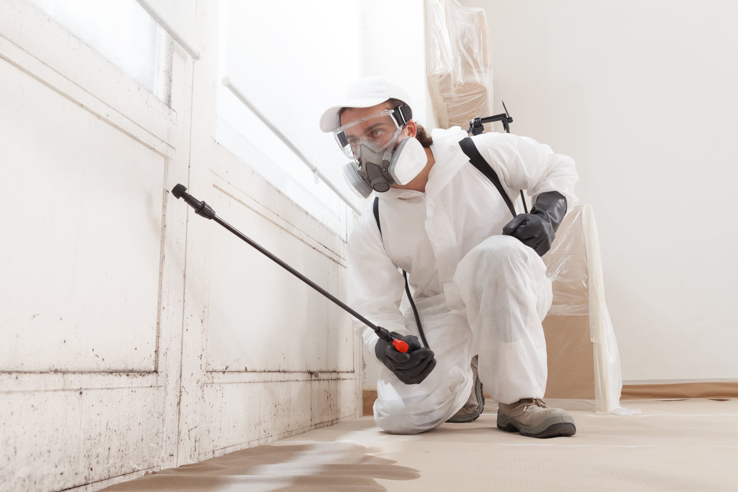 deep cleaning services (5)