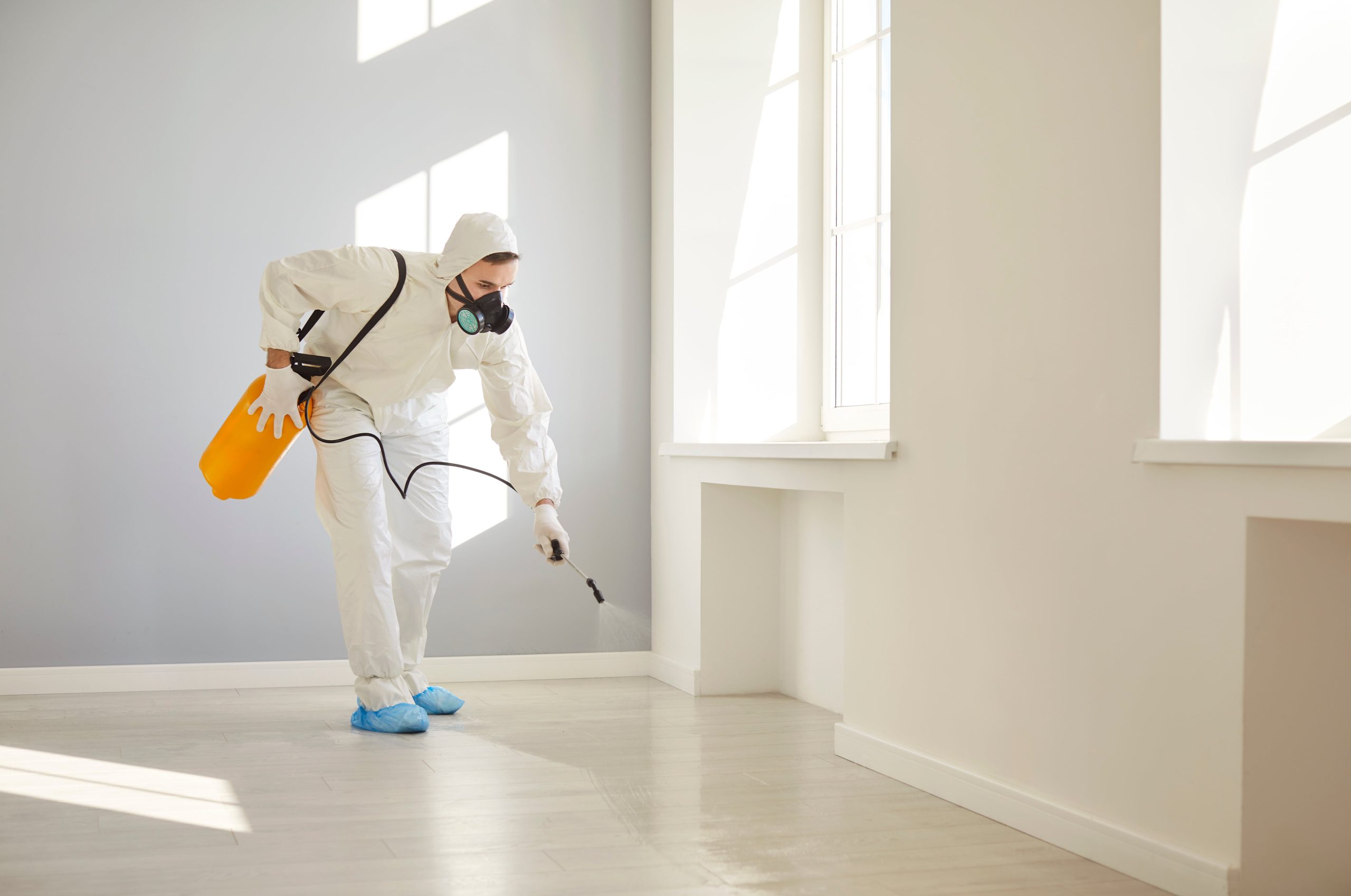 deep cleaning services (9)